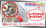 虫眼鏡 バナー