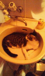 洗面所