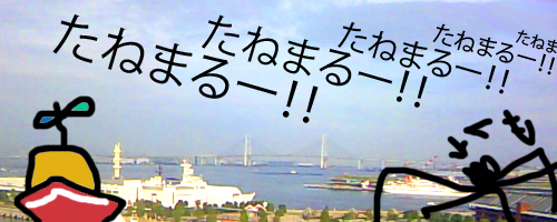 ちゃんと調べりゃよかった・・・