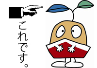 これです!