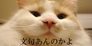 我が家のボス 我が家のボス