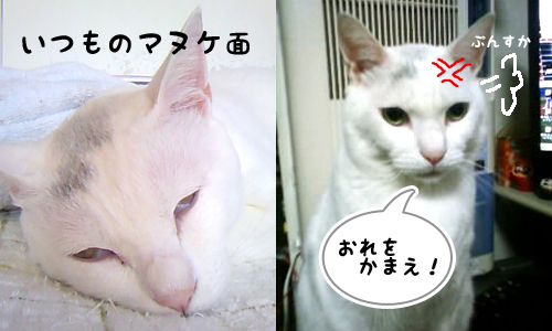 おこってます