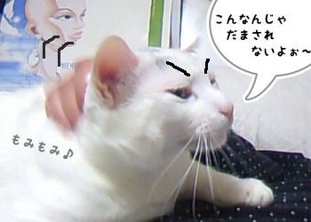 まだおこってます