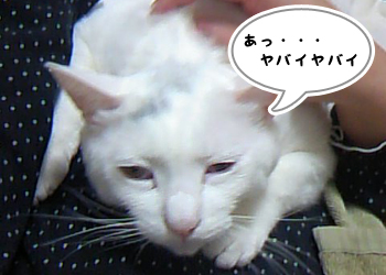 とろ~ん