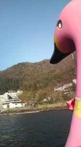 ピンクのスワン