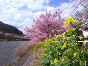 r0010290