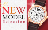 newmodel_bn190