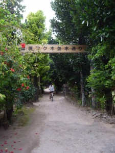 r0011138