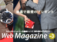 web_magazin web_magazin