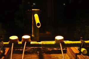 dsc_3831 dsc_3831