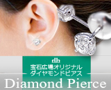 daiya-41 daiya-41