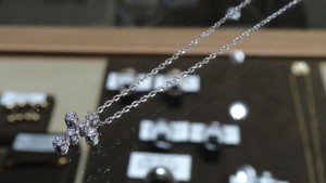 DSC03934