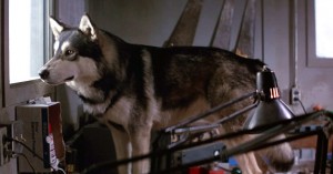 遊星からの物体X 犬