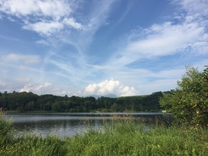 IMG_4992
