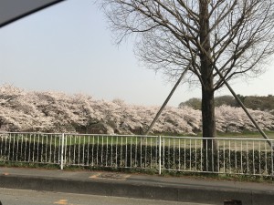 IMG_5777